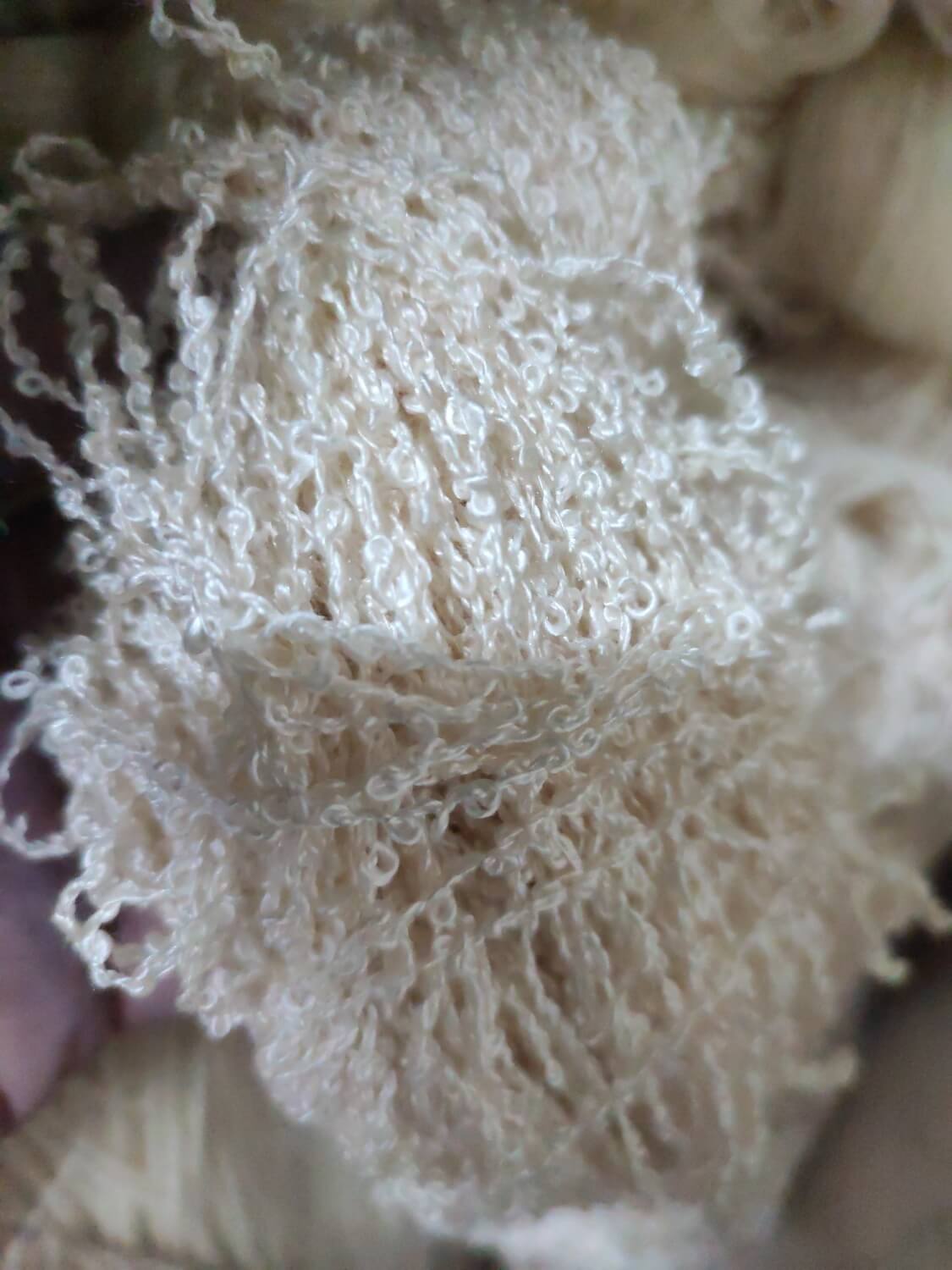 Bouclette de soie